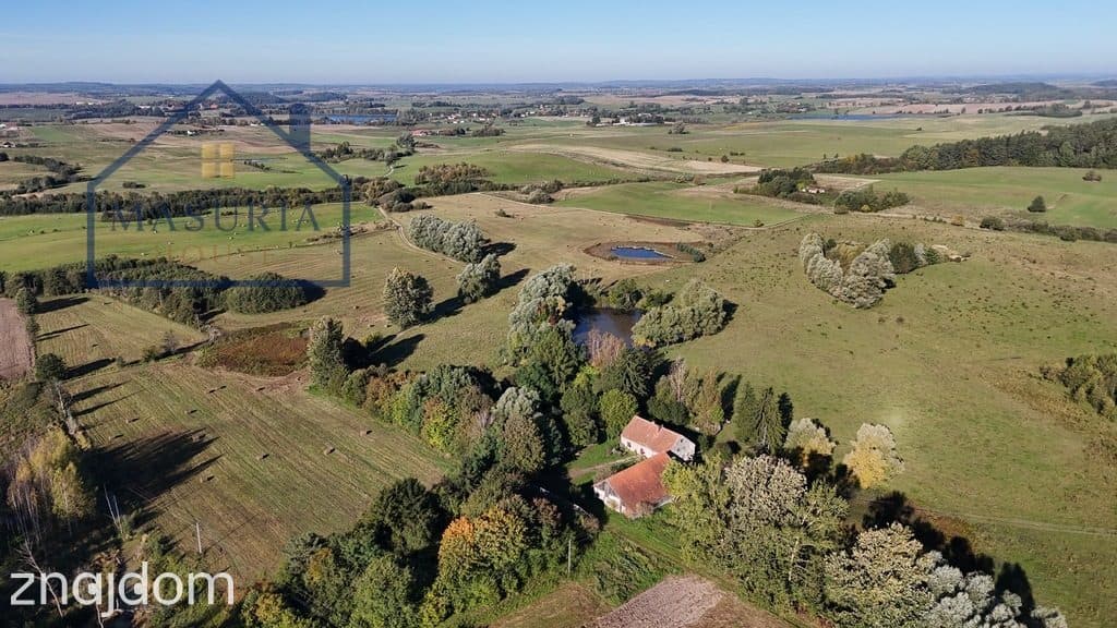 Duża działka rolna w Tłokowie gm. Jeziorany - zdjęcie 19