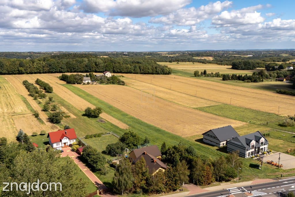 Działka 1,35 ha – Biały Kościół przy DK94 - zdjęcie 10