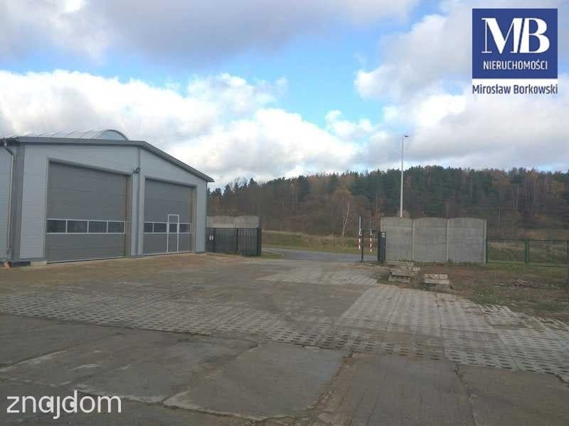 Magazyn 107  m 2 - Gdańsk Kiełpinek - zdjęcie 10