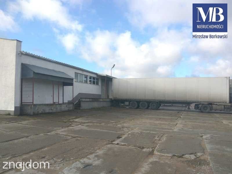 Magazyn 107  m 2 - Gdańsk Kiełpinek - zdjęcie 8