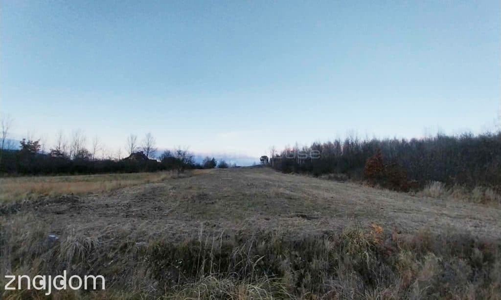 Działka na sprzedaż, Daleszyce - zdjęcie 6