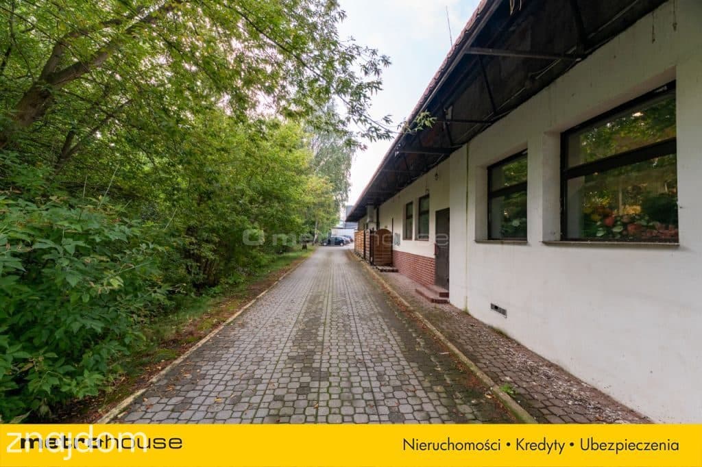 445 m² Showroom / Handel / Usługi Łódź - zdjęcie 8