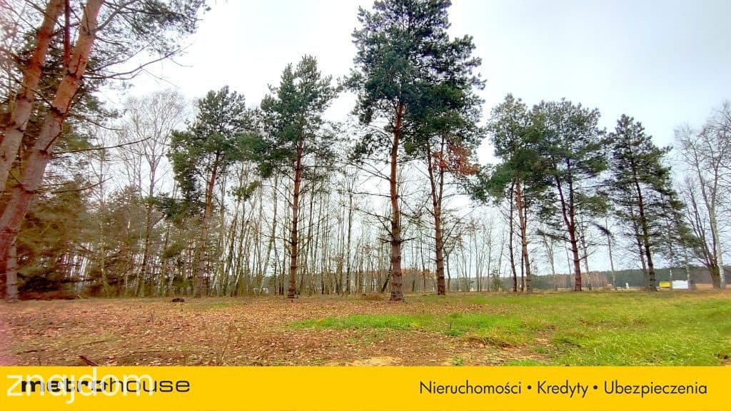Sprzedam dużą działkę z WZ, Suliszew k.Skierniewic - zdjęcie 2