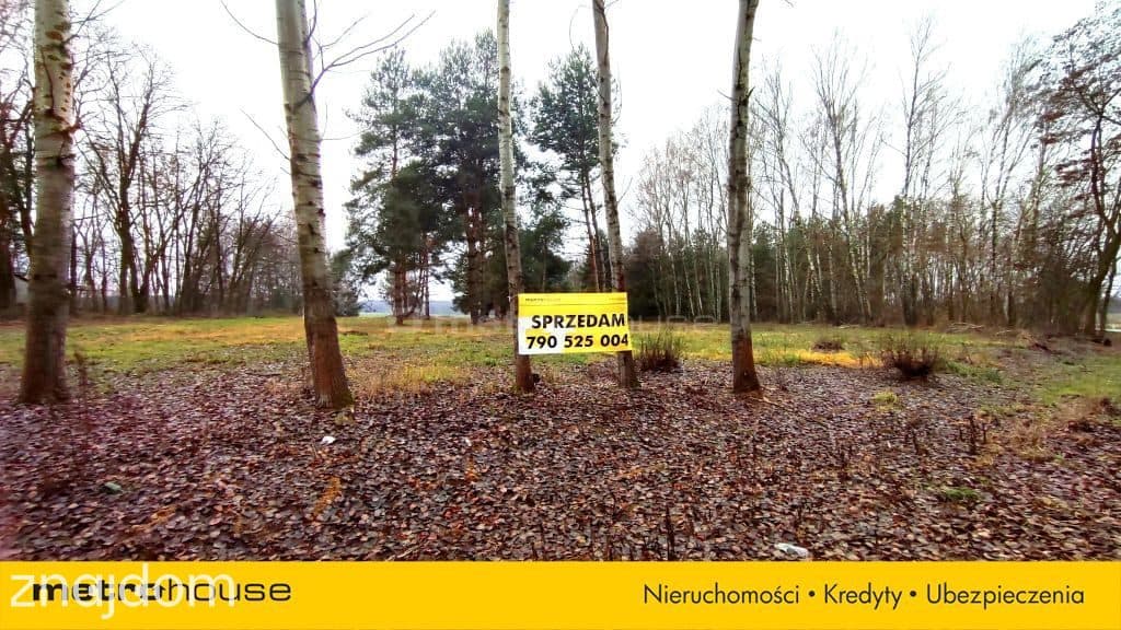 Sprzedam dużą działkę z WZ, Suliszew k.Skierniewic - zdjęcie 4