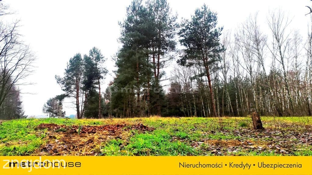 Sprzedam dużą działkę z WZ, Suliszew k.Skierniewic - zdjęcie 5