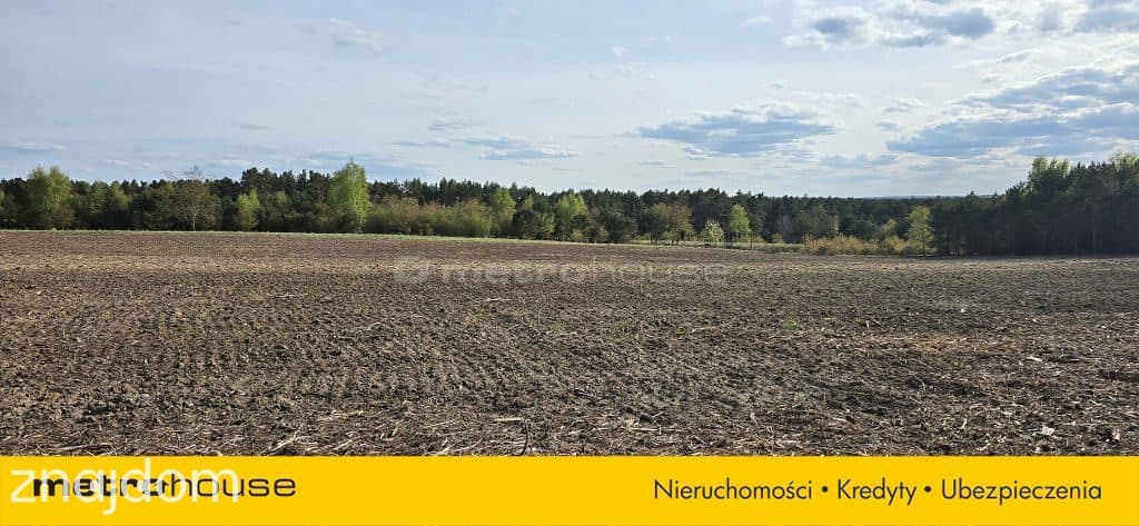 DZIAŁKA NAD MORZEM W JASTRZĘBIEJ GÓRZE - zdjęcie 7