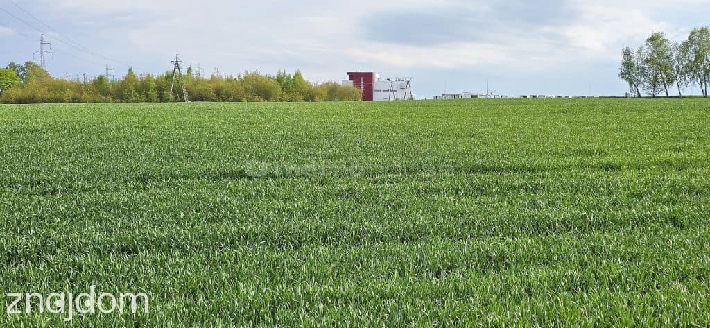 DZIAŁKA USŁUGOW NAD MORZEM - zdjęcie 9