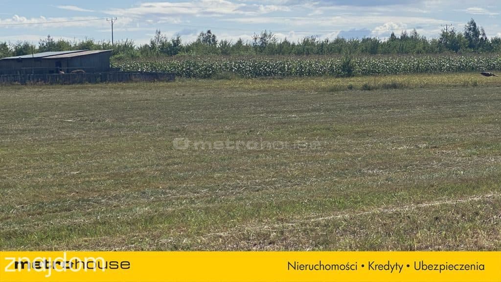 Działka budowlana 1506 m2 - Kolonia Lesiów. - zdjęcie 4