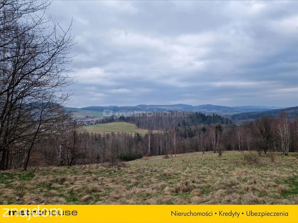 Cudna działka z widokiem na panoramę Doliny Bobru. - zdjęcie 2