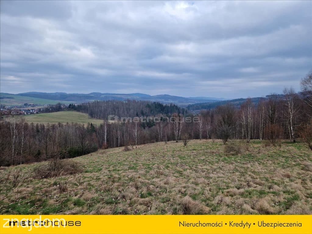 Cudna działka z widokiem na panoramę Doliny Bobru. - zdjęcie 3