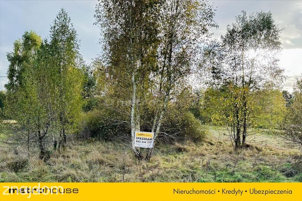 Na sprzedaż działka budowlano rolna 9528 m2 - zdjęcie 3
