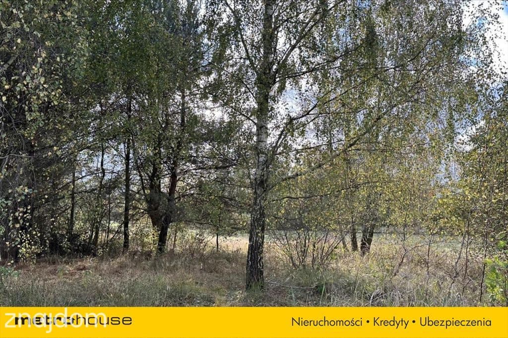 Na sprzedaż działka budowlano rolna 9528 m2 - zdjęcie 5