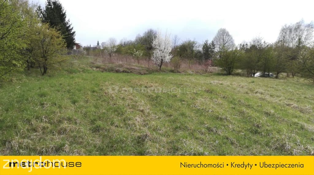 Działka na Jurze- Kromołów - zdjęcie 3