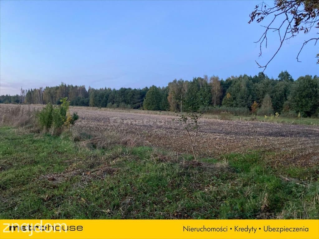 Działka rolna o pow. 6150 m2 - Kośminy - zdjęcie 2