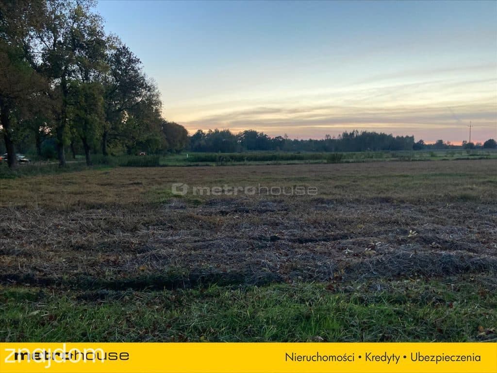 Działka rolna o pow. 6150 m2 - Kośminy - zdjęcie 3
