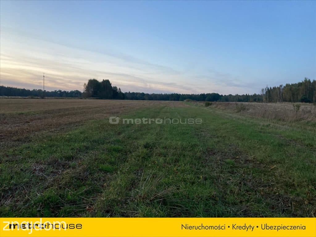 Działka rolna o pow. 6150 m2 - Kośminy - zdjęcie 4