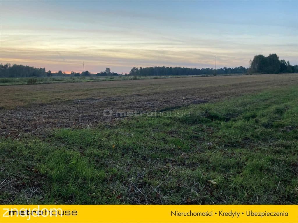 Działka rolna o pow. 6150 m2 - Kośminy - zdjęcie 5
