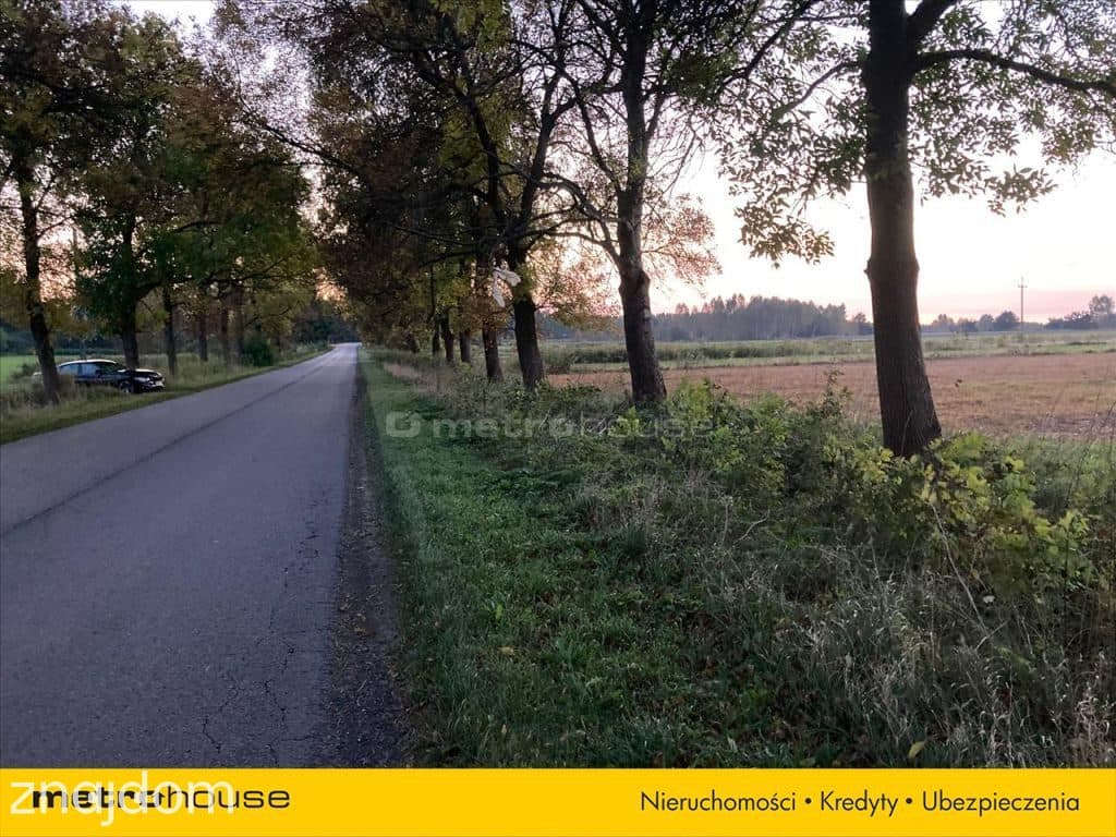 Działka rolna o pow. 6150 m2 - Kośminy - zdjęcie 6