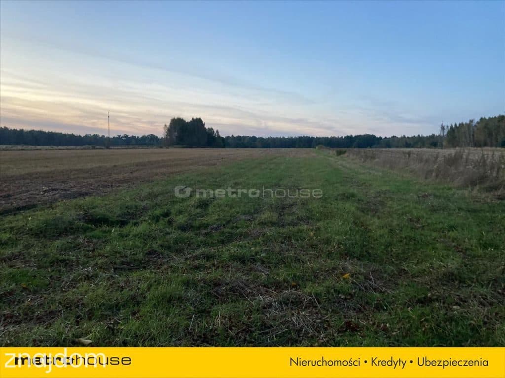 Działka rolna o pow. 6150 m2 - Kośminy - zdjęcie 7