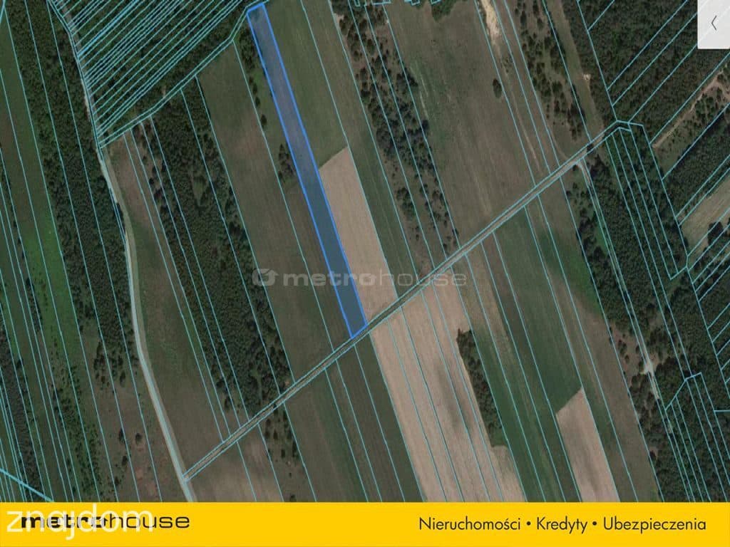 Działka rolna o pow. 6150 m2 - Kośminy - zdjęcie 8