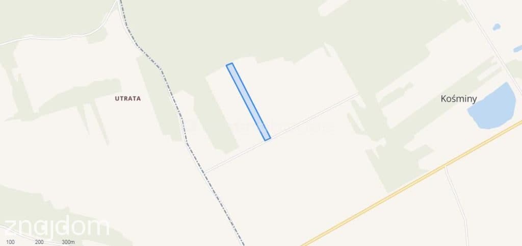 Działka rolna o pow. 6150 m2 - Kośminy - zdjęcie 9
