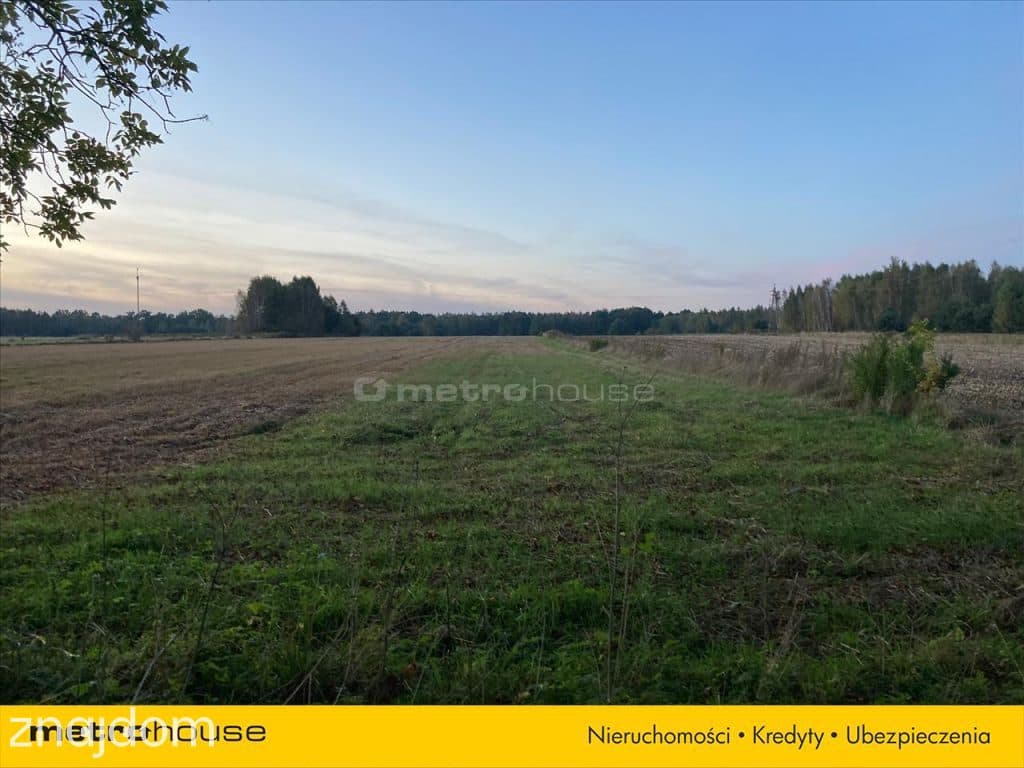 Działka rolno-budowlana 7964m2 - Kośminy - zdjęcie 3