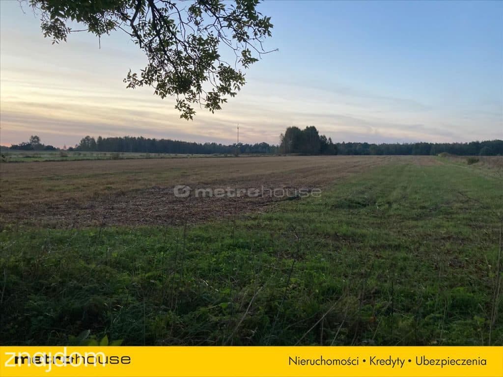 Działka rolno-budowlana 7964m2 - Kośminy - zdjęcie 4
