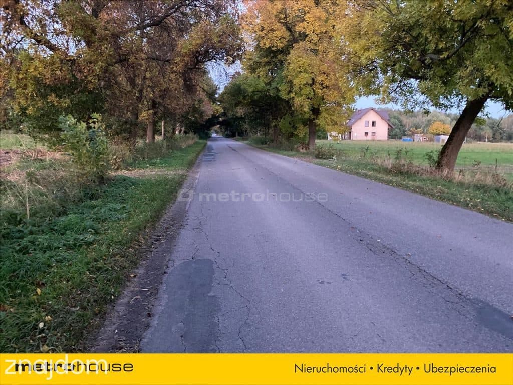 Działka rolno-budowlana 7964m2 - Kośminy - zdjęcie 8