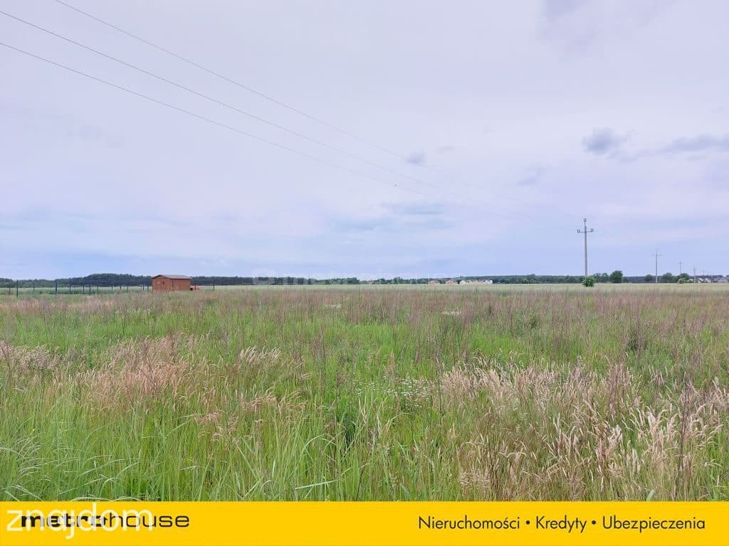 DZIAŁKA BUDOLANA Z MPZP, RADZEWO - zdjęcie 8