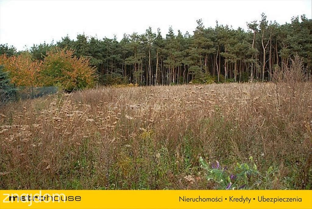WIDOKOWA DZIAŁKA BUDOWLANA, GRUSZCZYN - zdjęcie 2