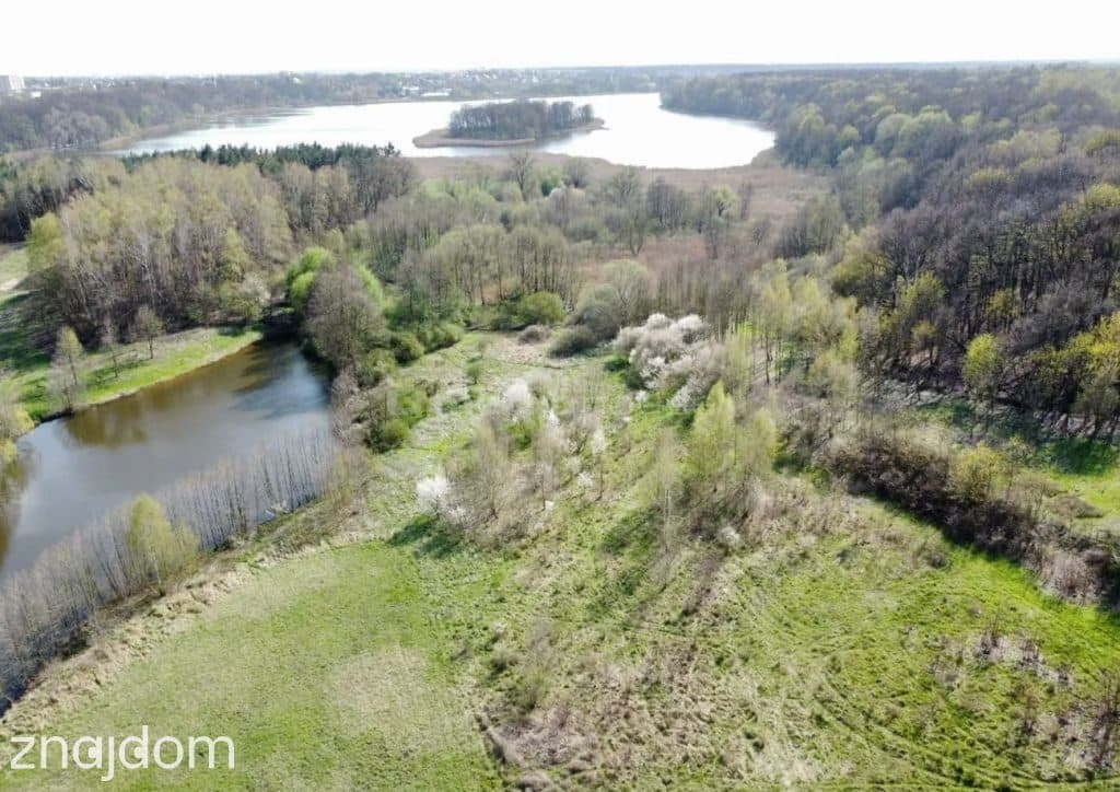 WIDOKOWA DZIAŁKA BUDOWLANA, GRUSZCZYN - zdjęcie 3