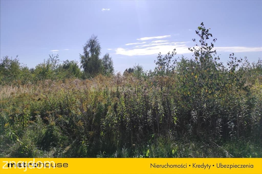 Piękna działka w Jachrance w otoczeniu lasów ! - zdjęcie 3