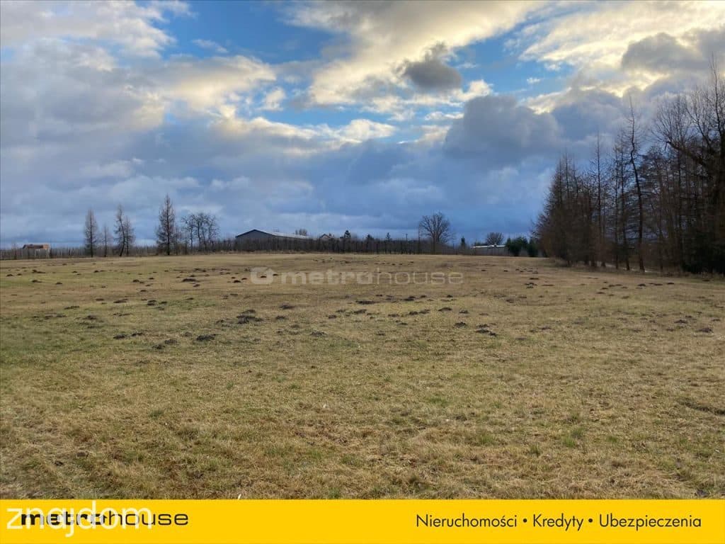 Atrakcyjna działka ze stawami - 3,62 ha gm. Pniewy - zdjęcie 4