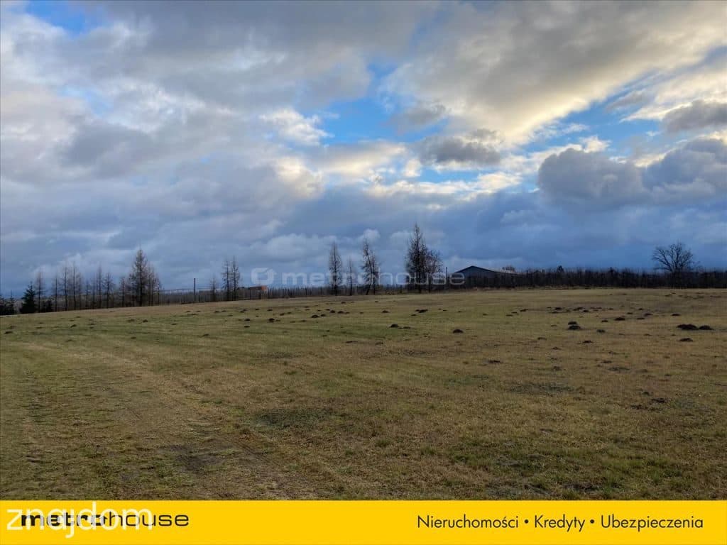 Atrakcyjna działka ze stawami - 3,62 ha gm. Pniewy - zdjęcie 7