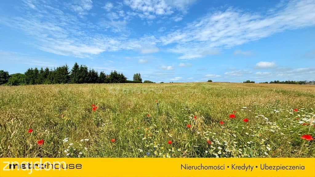 Działka budowlana nad morzem 5,3 km od plaży! - zdjęcie 10