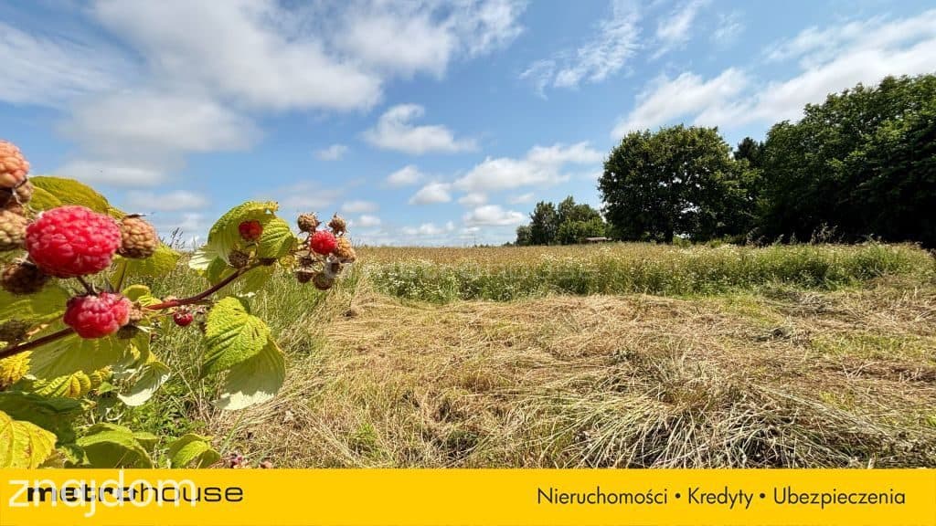 Działka budowlana nad morzem 5,3 km od plaży! - zdjęcie 15