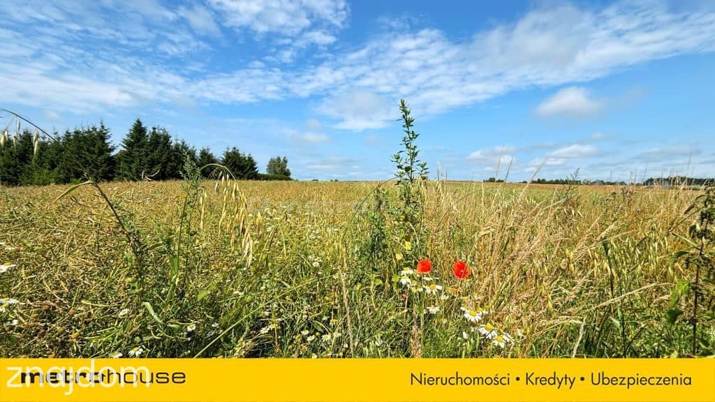 Działka budowlana nad morzem 5,3 km od plaży! - zdjęcie 18