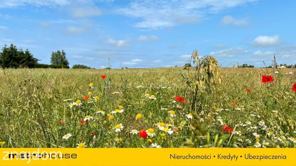 Działka budowlana nad morzem 5,3 km od plaży! - zdjęcie 19
