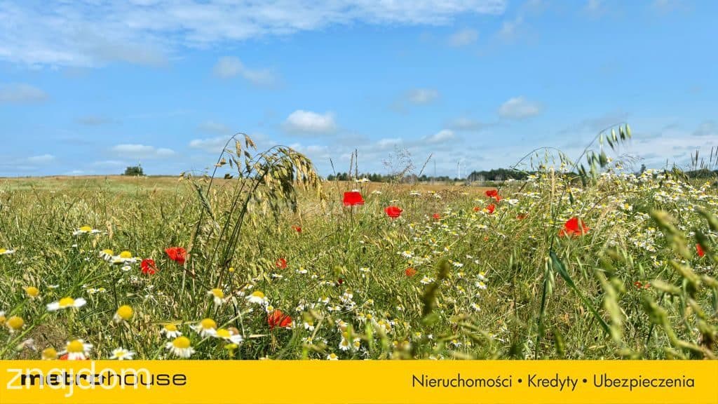 Działka budowlana nad morzem 5,3 km od plaży! - zdjęcie 20