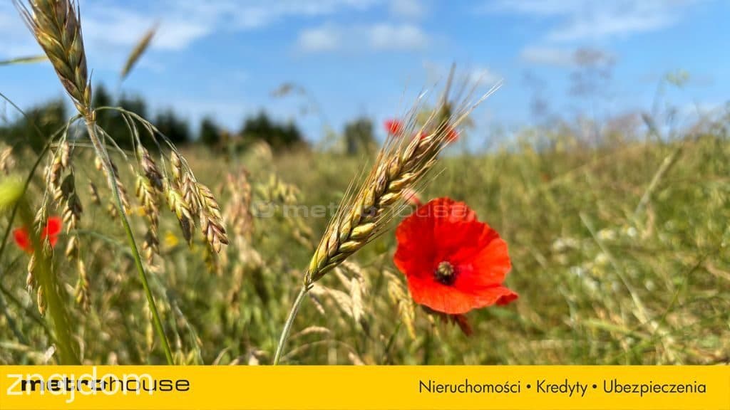 Działka budowlana nad morzem 5,3 km od plaży! - zdjęcie 21