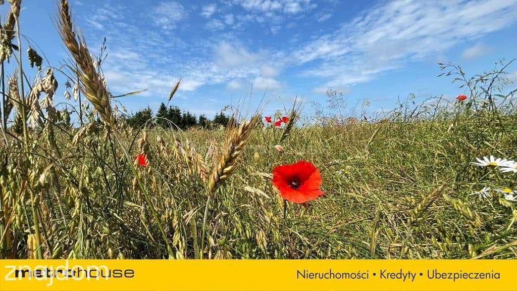Działka budowlana nad morzem 5,3 km od plaży! - zdjęcie 4