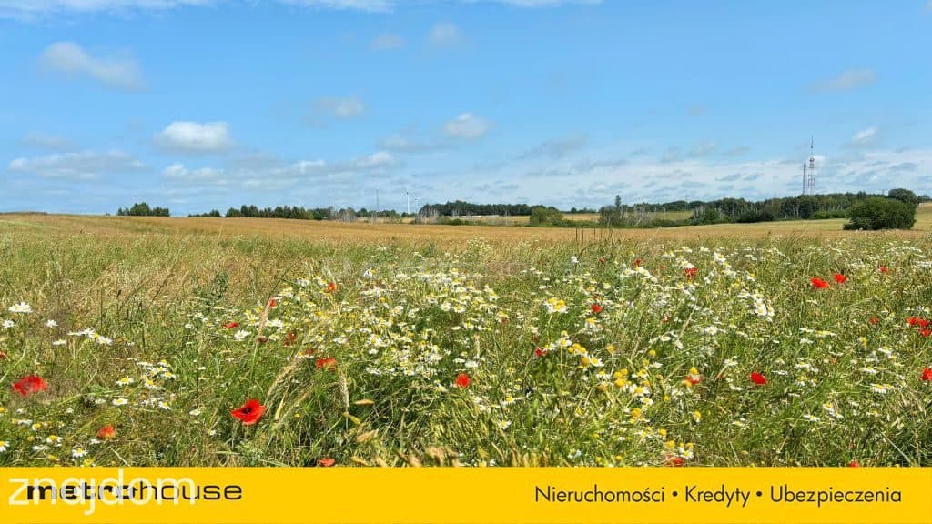 Działka budowlana nad morzem 5,3 km od plaży! - zdjęcie 9