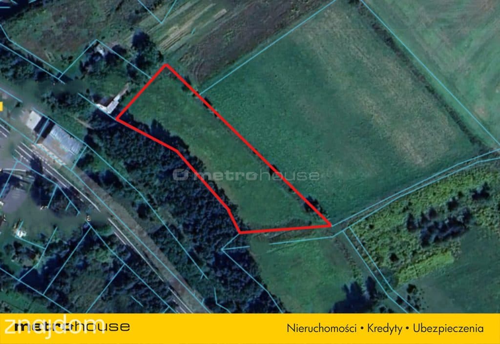 Działka zagrodowa 4000m2 w Sędziszowie - zdjęcie 2