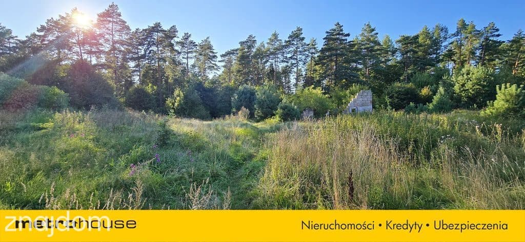 DZIAŁKA NA SKRAJU LASU - zdjęcie 8