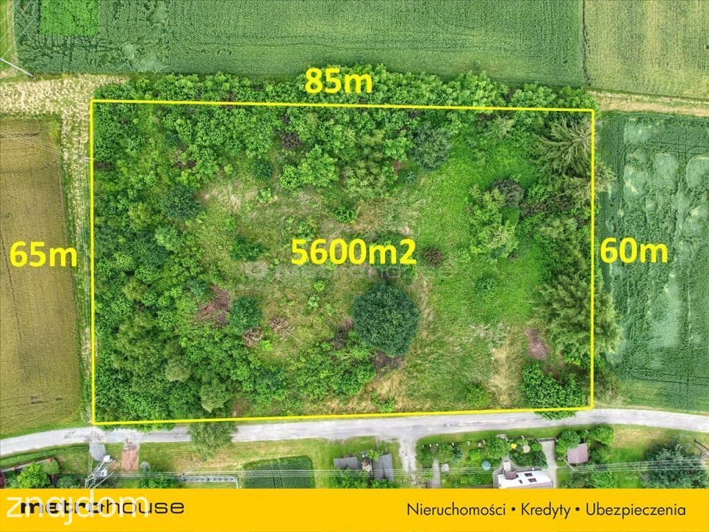 Działka siedliskowo-rolna I 5600m2 I Kaczyce I 56a - zdjęcie 4