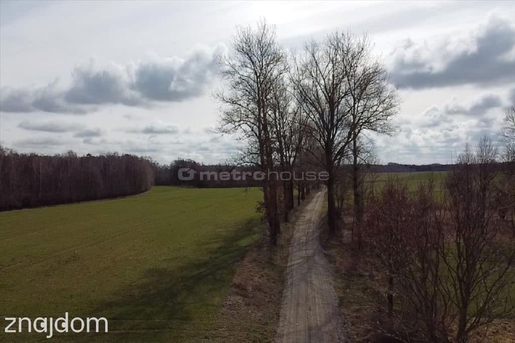 Działka pod Kołobrzegiem - Ołużna - zdjęcie 8