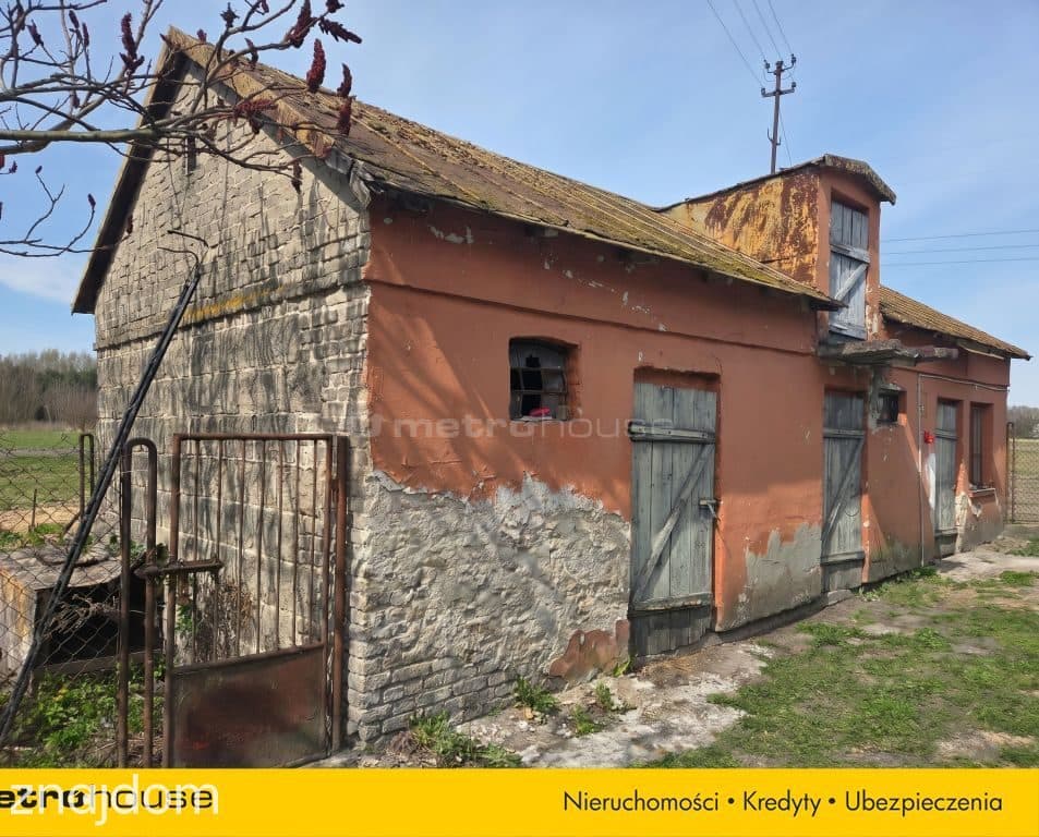 Dom, budynek gospodarczy, duża działka, Feliksów - zdjęcie 6