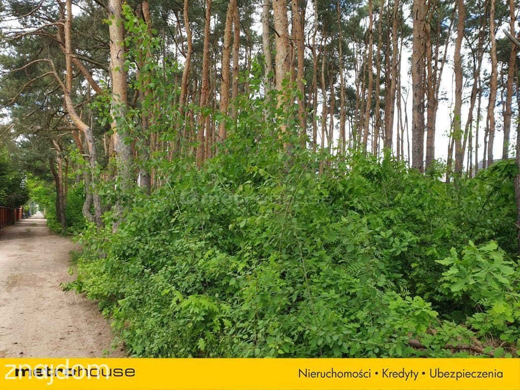 Leśna działka budowlana w Międzylesiu - zdjęcie 4