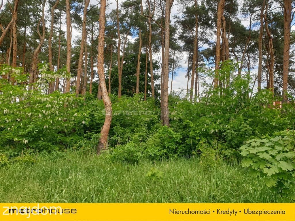 Leśna działka budowlana w Międzylesiu - zdjęcie 5
