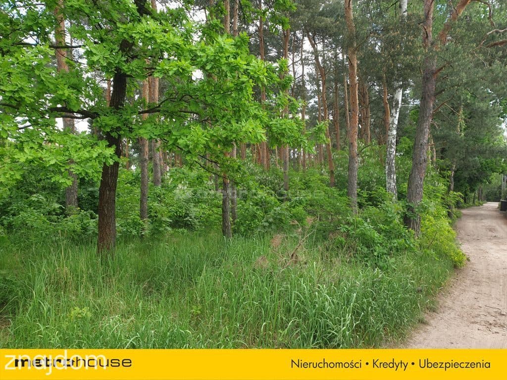 Działka budowlana z drzewami w Międzylesiu - zdjęcie 2